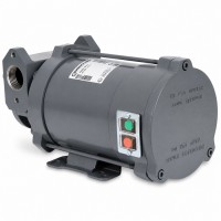 Gespasa Iron 50 EX насос для бензина