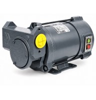 Gespasa Iron 50 EX насос для бензина