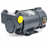 Gespasa Iron 50 EX насос для бензина