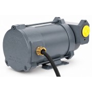 Gespasa Iron 50 EX насос для бензина