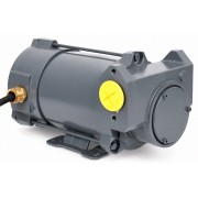 Gespasa Iron 50 EX насос для бензина