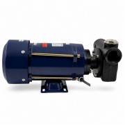 Petroll Polaris 80 насос для бензина