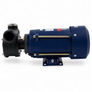Petroll Polaris 80 насос для бензина