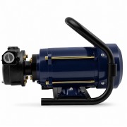 Petroll Polaris 80 насос для бензина