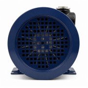 Petroll Polaris 80 насос для бензина