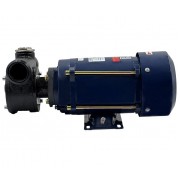 Petroll Polaris 80 насос для бензина