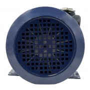 Petroll Polaris 80 насос для бензина