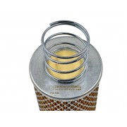 Картридж фильтра топлива Gespasa FG 100 bio (25 мкм)