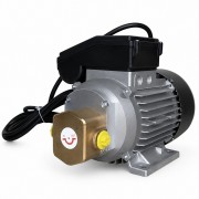 Gespasa EA 88 (0.74 kW) насос для масла