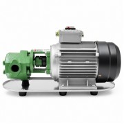 Petroll Lyra 30 насос для масла