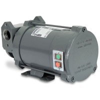 Gespasa Iron 50 EX насос перекачки бензина керосина